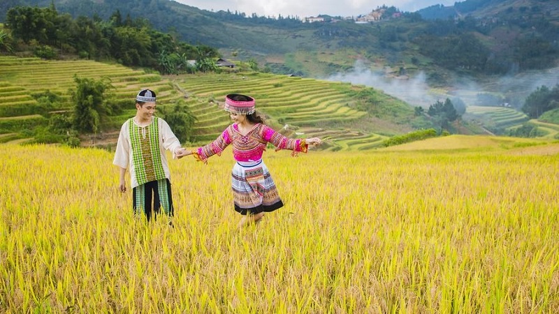 Đi Hà Giang vào thời điểm nào trong năm là đẹp nhất?